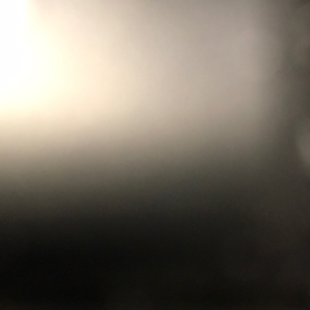 Meet your Posher, Lynne